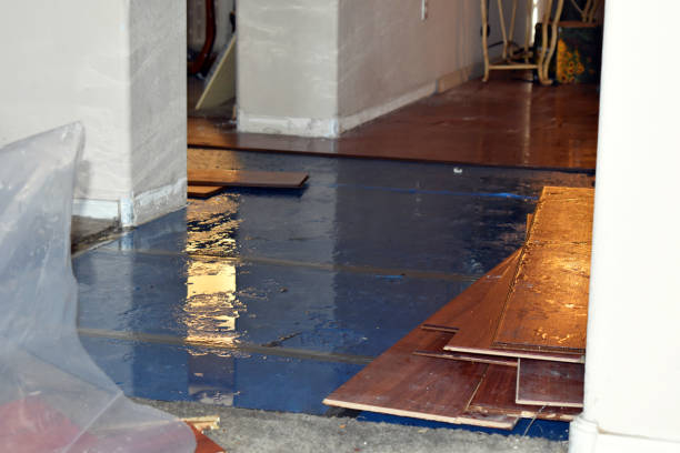 Professional Water Removal technician working in Hope, MI